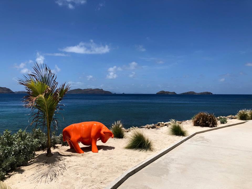 transfert oeuvre d'art à Saint Barthelemy